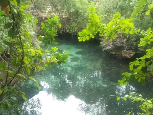 Baraka Natural Aquarium - Nungwi