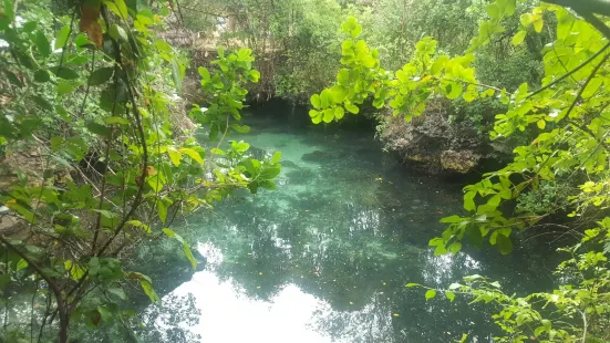 Baraka Natural Aquarium - Nungwi