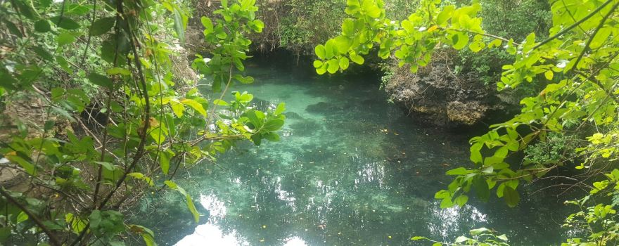Baraka Natural Aquarium - Nungwi