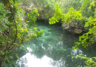 Nungwi Natural Aquarium
