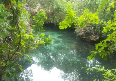 Nungwi Natural Aquarium
