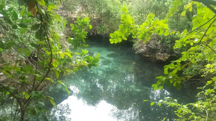 Hotels near Baraka Natural Aquarium - Nungwi