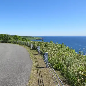 沼浦展望台(白い恋人の丘)