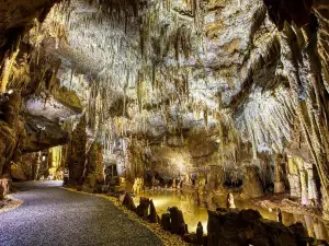 La Grotte De Domme