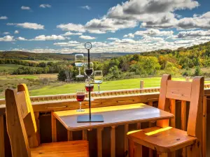 Petoskey Farms Vineyard. Winery. Coffeehouse.