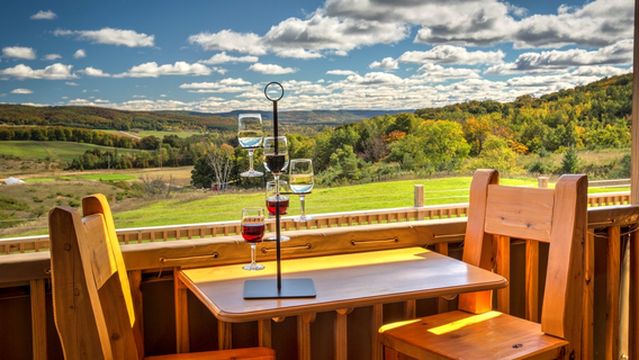 Petoskey Farms Vineyard. Winery. Coffeehouse.