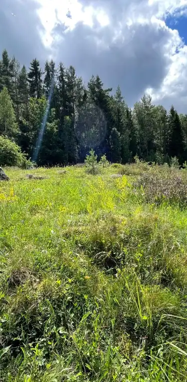 Hotels in Boras Municipality