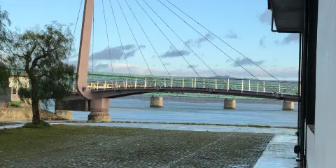 Biblioteca Municipal de Viana do Castelo