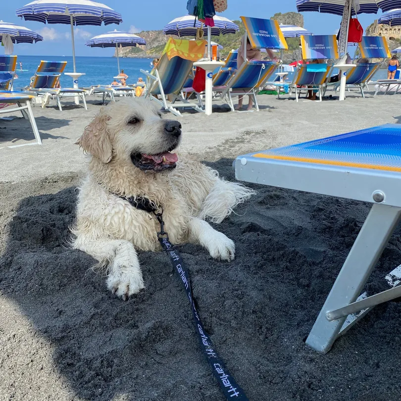 4_Lido Arcobaleno Fiuzzi