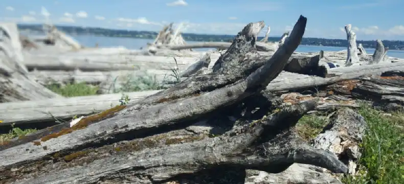 Hotels in Vashon
