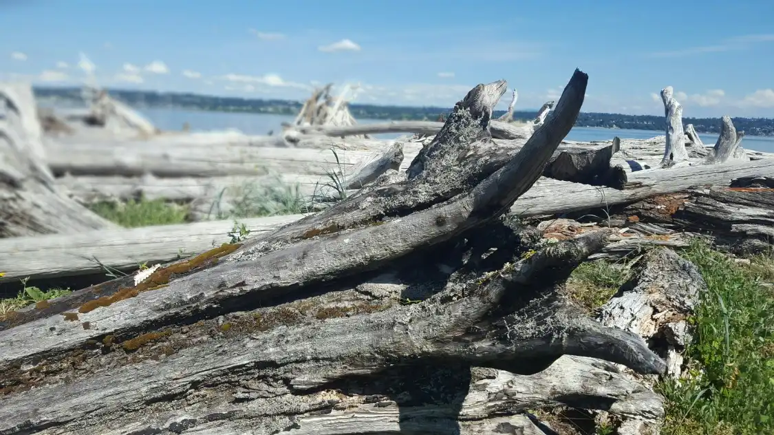 Hôtels à proximité de : Vashon Island