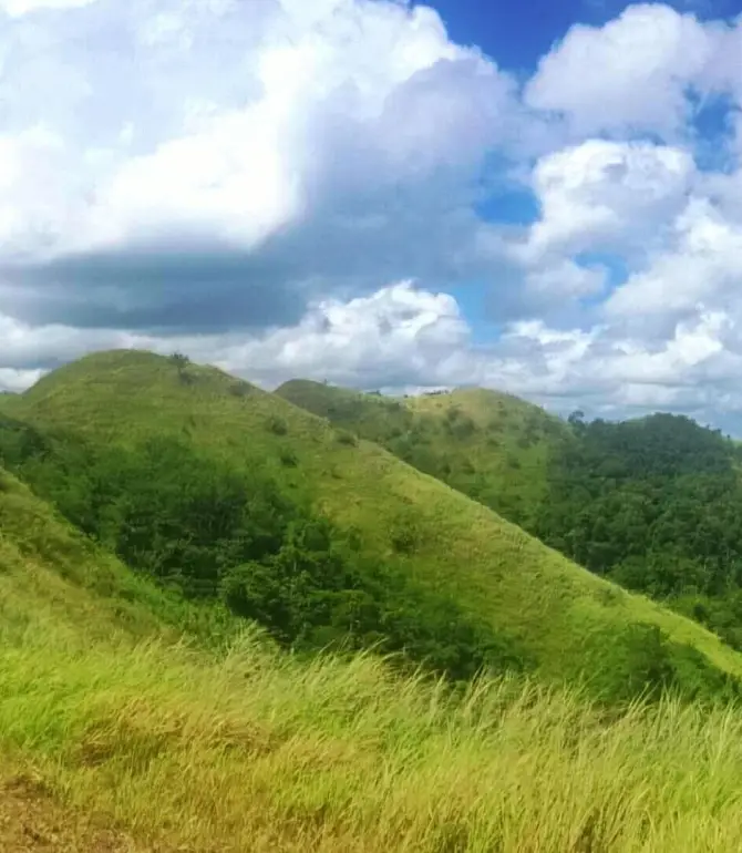 Camalig