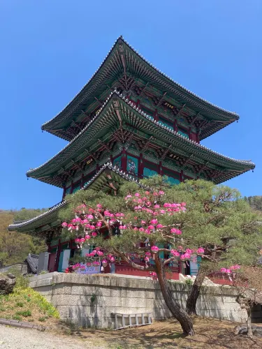 Jincheon-gun