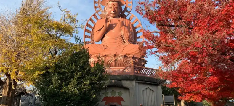 โรงแรมในนิชิโอะ