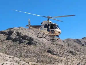 Gunship Helicopters