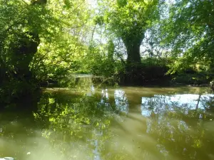 Embarcadere des Ecluses de Bazoin