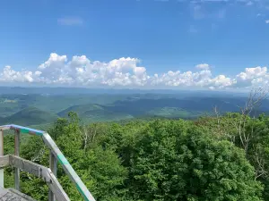 Bickel Knob Observation Tower
