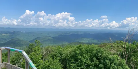 Bickel Knob Observation Tower