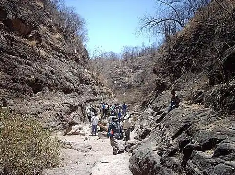 メキシコソノラ州のアパートメント