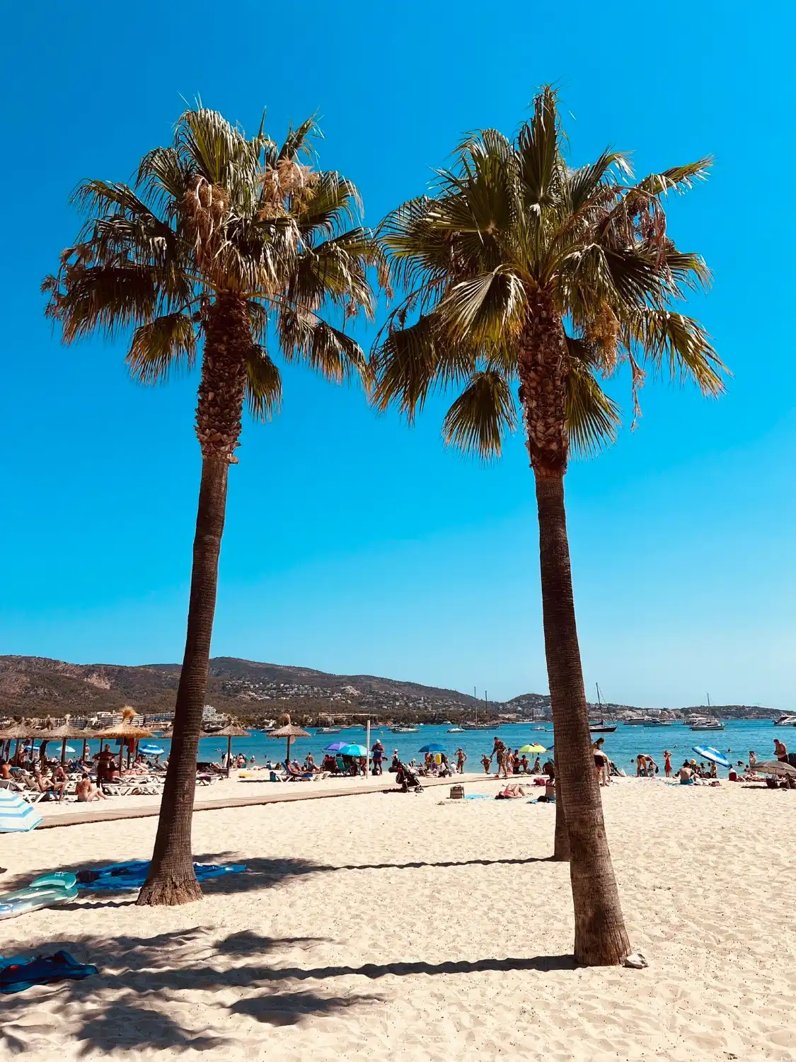Hotels near Playa De Magaluf