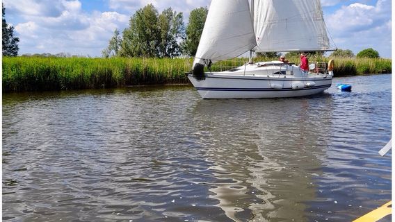 Carlton & Oulton Marshes