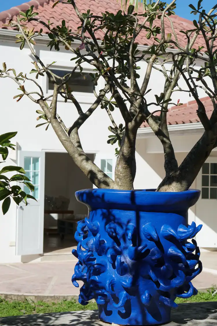 Hoteles en Potters Village