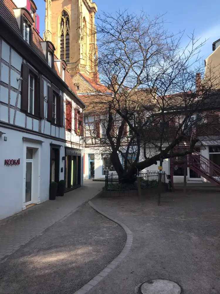Hotels near Arbre de Judée
