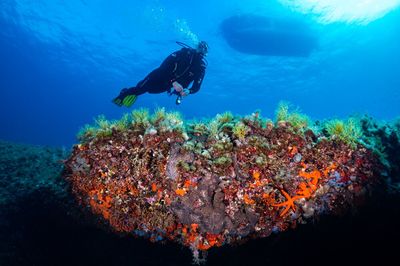 FORMENTERA DIVERS