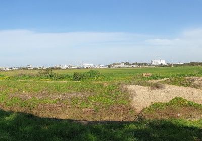 Ramat Hasharon