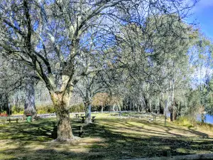 Memorial Park