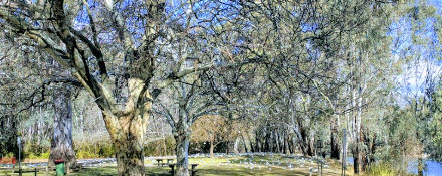 Memorial Park