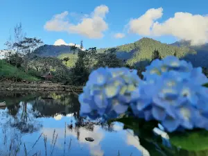 Kolam Karona Sakti Pamah Semelir