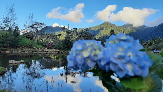 Kolam Karona Sakti Pamah Semelir