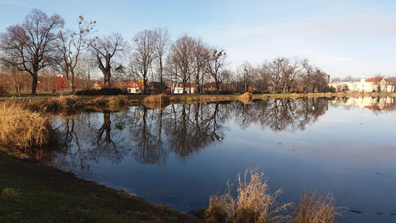 Stadion Miejski