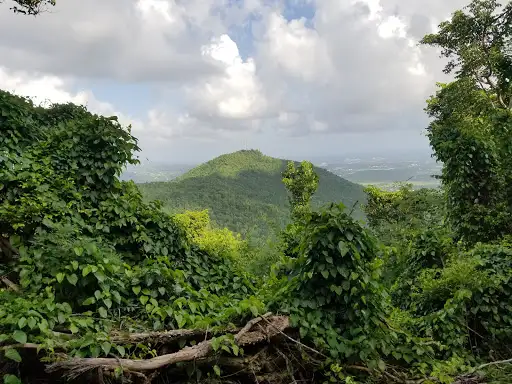Mt Eagle