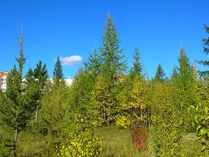 Novourengoyskiy Gorodskoy Park