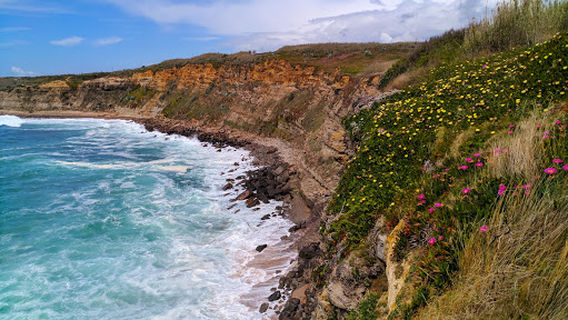 Baía dos Coxos