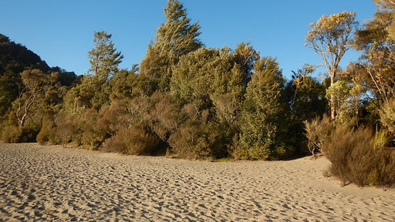Lake Rotopounamu