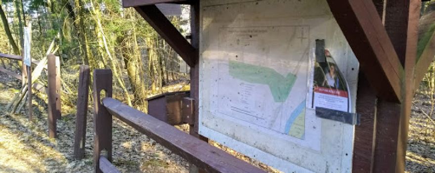 Cornplanter State Forest - Anders Run Natural Area Trail System