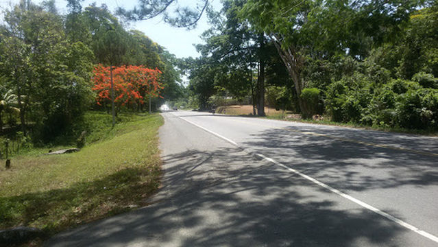 Centro Turístico El Bosque