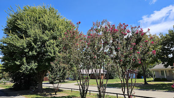 Mike Deak Walking Track