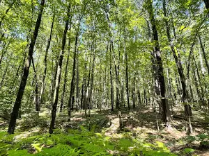 Silver Lake State Park