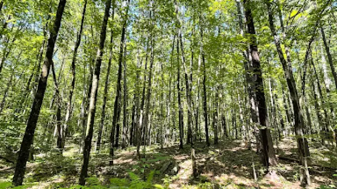 Silver Lake State Park