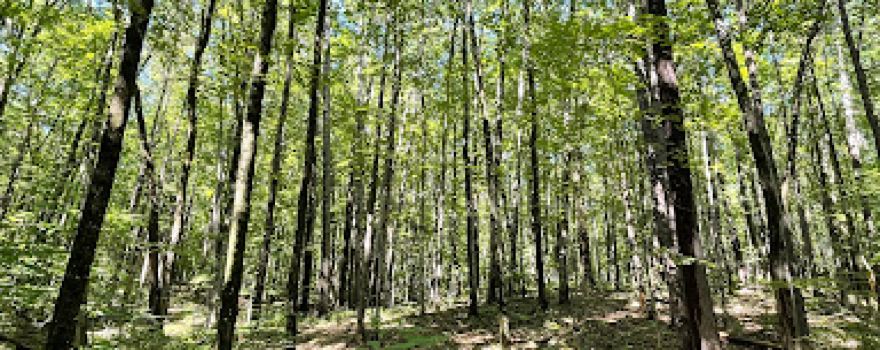 Silver Lake State Park