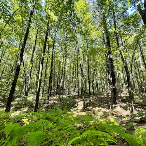 Silver Lake State Park