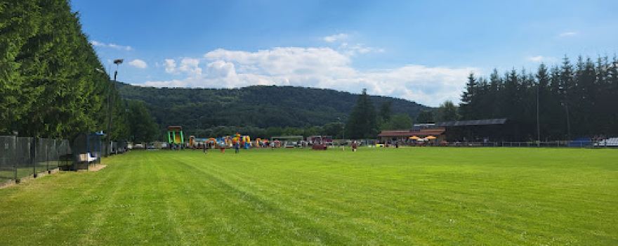 Wisłok Wiśniowa