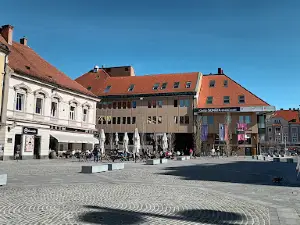 Plague Column
