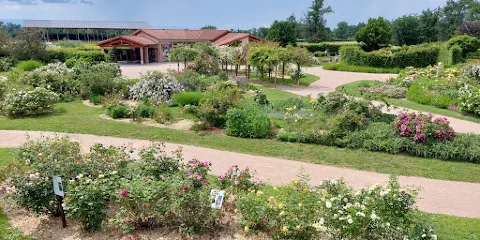 Rose Garden Saint Galmier