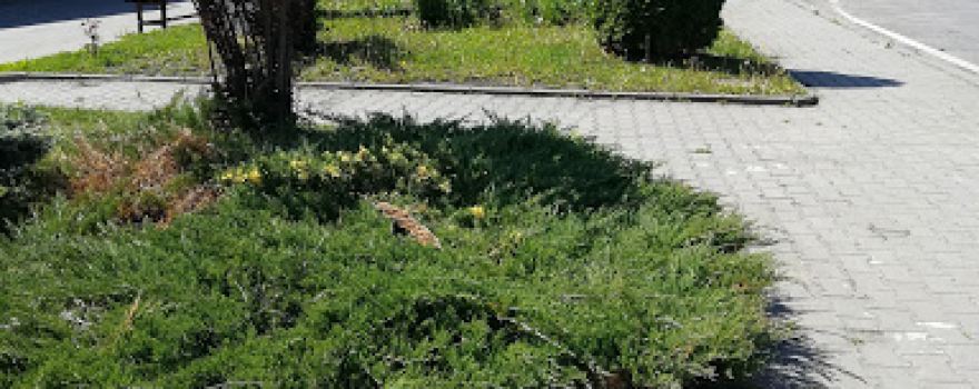 Parcul Halebarda