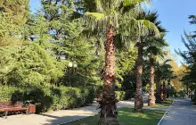 Монумент "Ломающая стрелы"